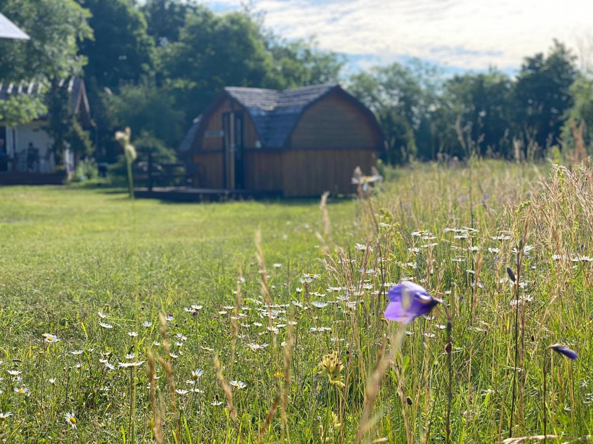 Kaespri Farmstay Koguva Buitenkant foto