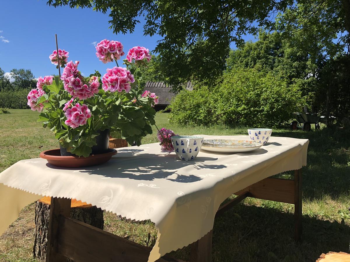 Kaespri Farmstay Koguva Buitenkant foto